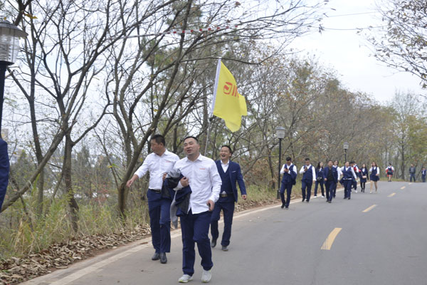 陽光行、快樂游